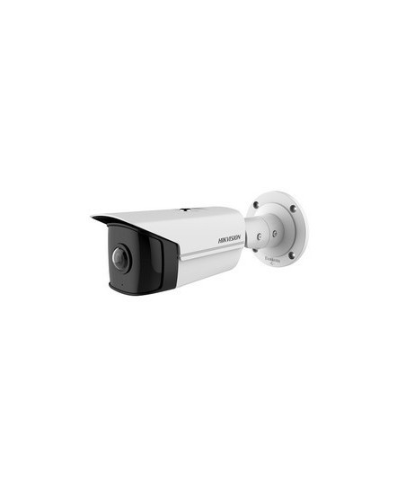 Hikvision DS-2CD2T45G0P-IL - Caméra IP panoramique POE 4 Mégapixels